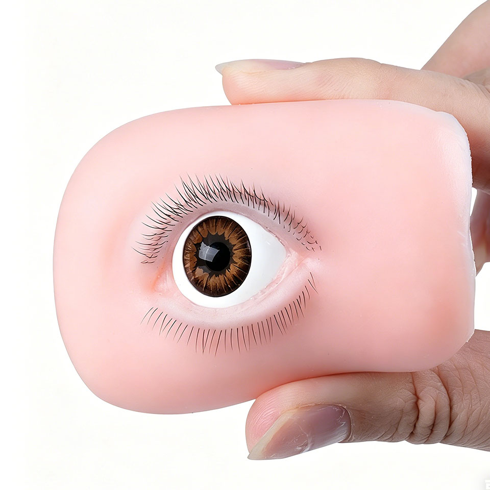 새로운 5D 속눈썹 연장 아카데미 학교 교육용 연습 마 - Eyelash Extension Open Eye 리뷰 및 가격