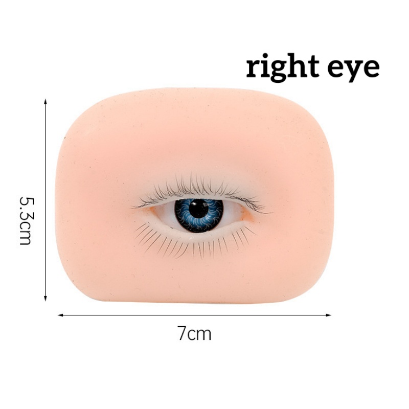 3D 속눈썹 연장 아카데미 학교 교육용 연습 마네킹 헤 - Eyelash Extension Open Eye 리뷰 및 가격