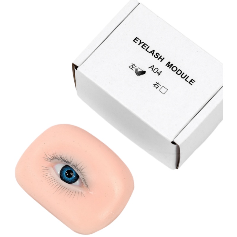 3D 속눈썹 연장 아카데미 학교 교육용 연습 마네킹 헤 - Eyelash Extension Open Eye 리뷰 및 가격