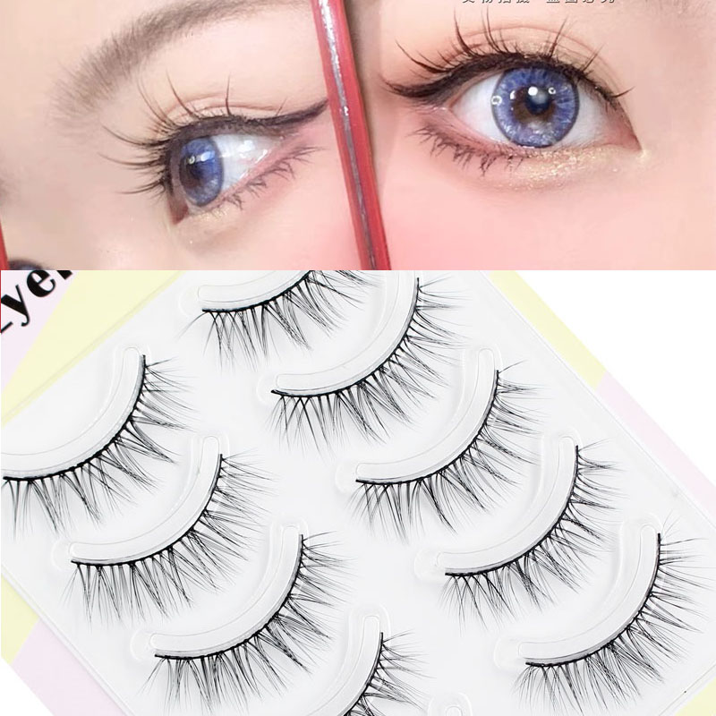새로운 속눈썹 연장 가짜 속눈썹 5 쌍 3D 일본과 한 - Eyelash Extension Korea Natural 리뷰 및 가격