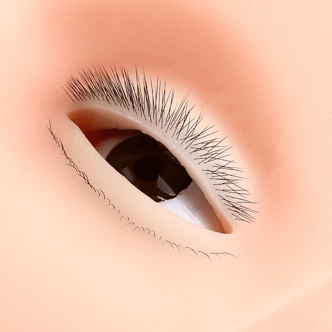 속눈썹 연장 연습용 핫 4층 미니 마네킹, 상하 눈꺼풀 - Eyelash Extension Open Eye 리뷰 및 가격
